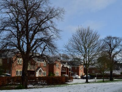 Snowy winter residential street scene with bare deciduous trees, brick houses, parked vehicles and clear blue sky during daytime