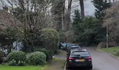 Dark Mercedes-Benz sedan parked in residential driveway with mature trees and landscaping, overcast daytime conditions